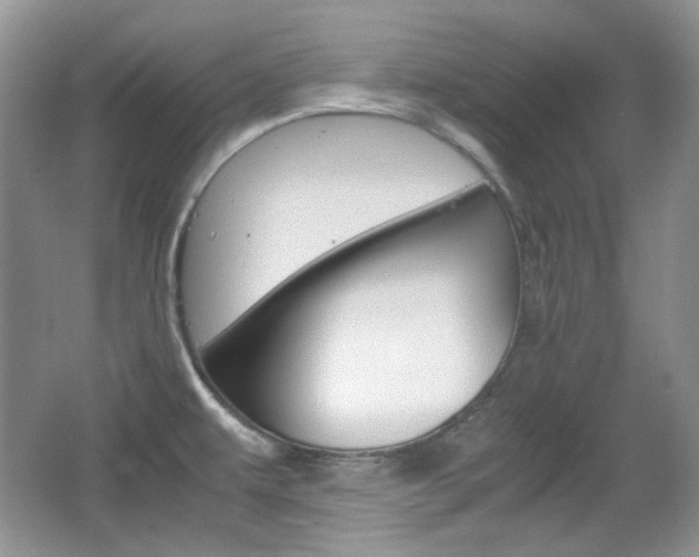 X0000067461479200604070914