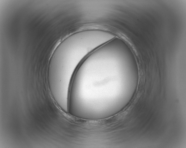 X0000067461481200604070914