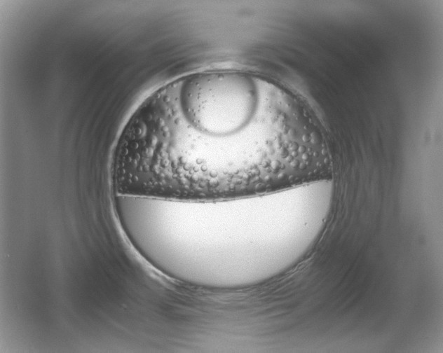 X0000067461483200604070914