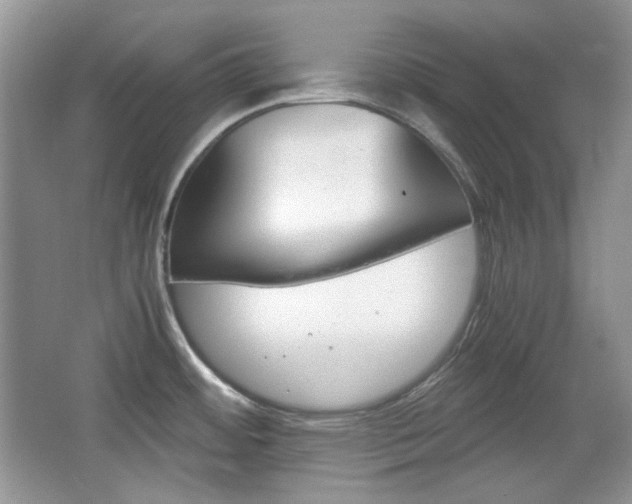 X0000067461484200604070914