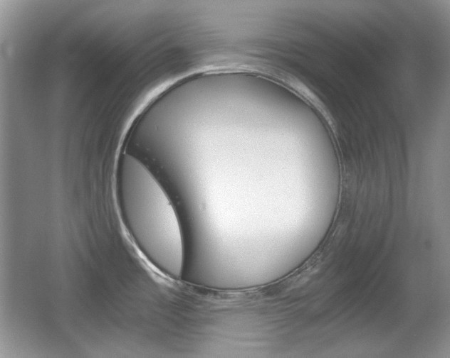 X0000067461485200604070914