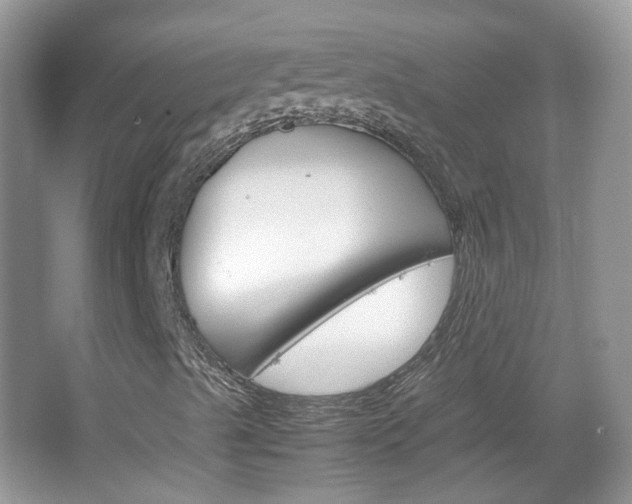 X0000067461489200604070913