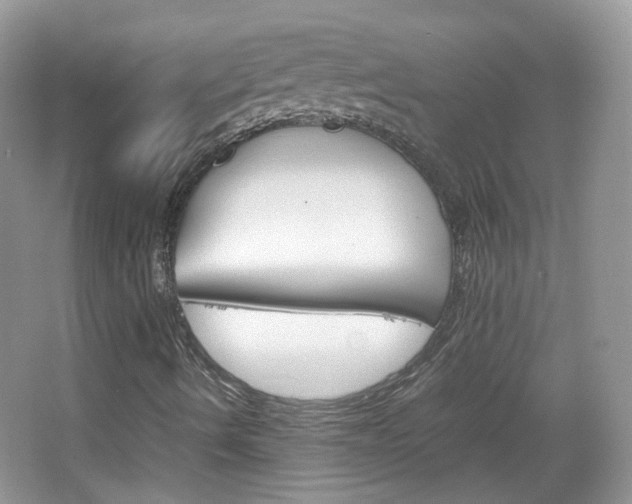 X0000067461490200604070913