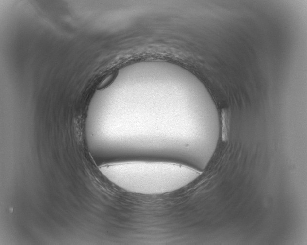X0000067461491200604070913
