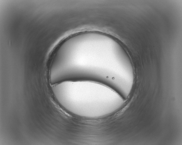 X0000067461502200604070913