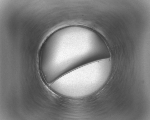 X0000067461508200604070913