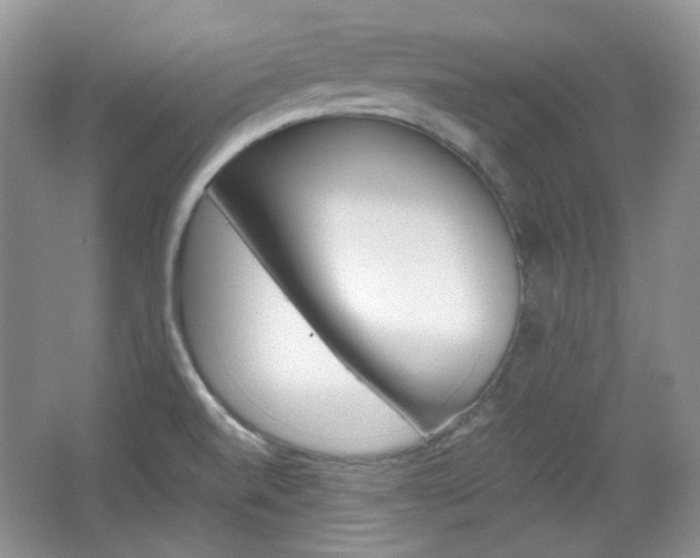 X0000067461520200604070913