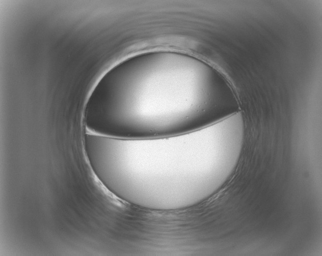 X0000067461532200604070913