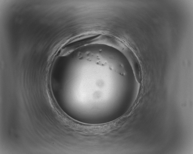 X0000067460001200604071140