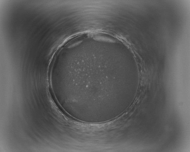 X0000067460002200604071140