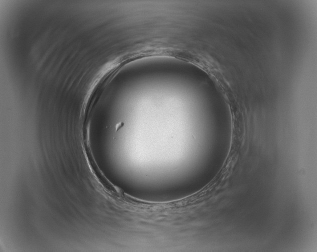 X0000067460003200604071140