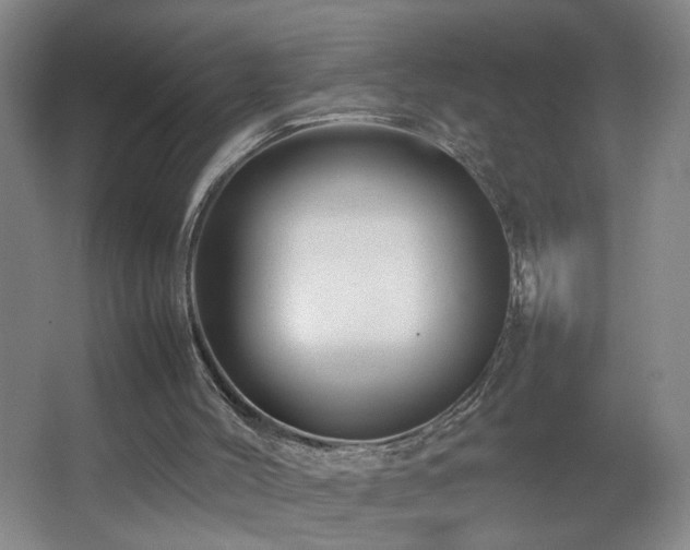 X0000067460004200604071140