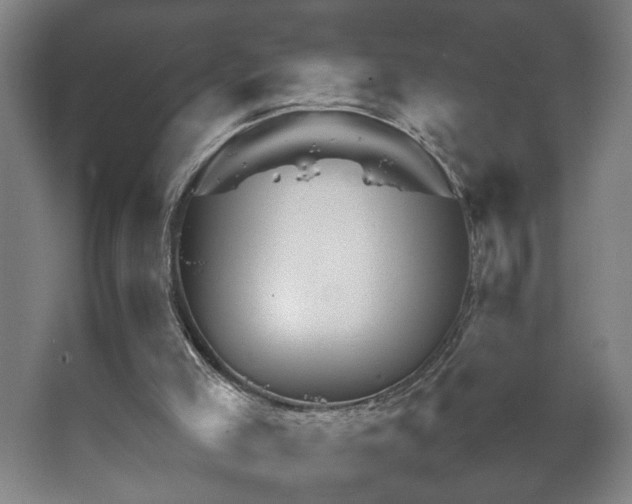 X0000067460005200604071140