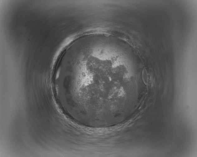 X0000067460006200604071140