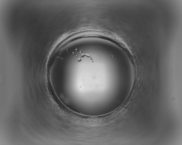 X0000067460008200604071140