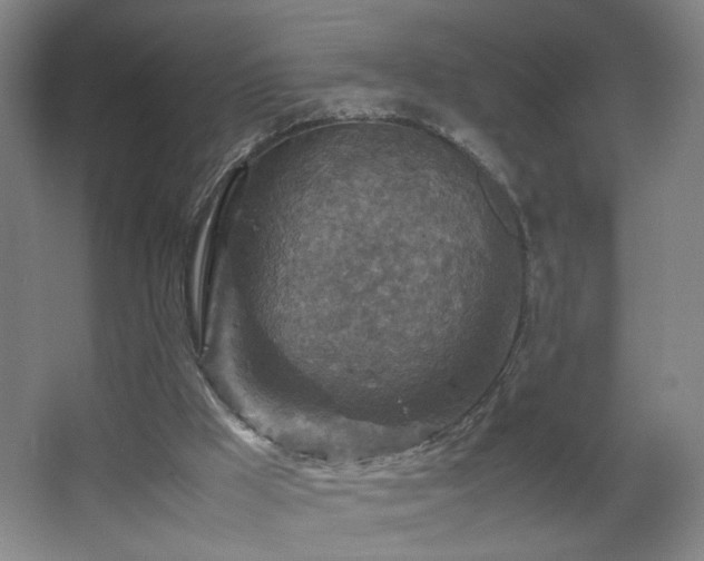 X0000067460009200604071140