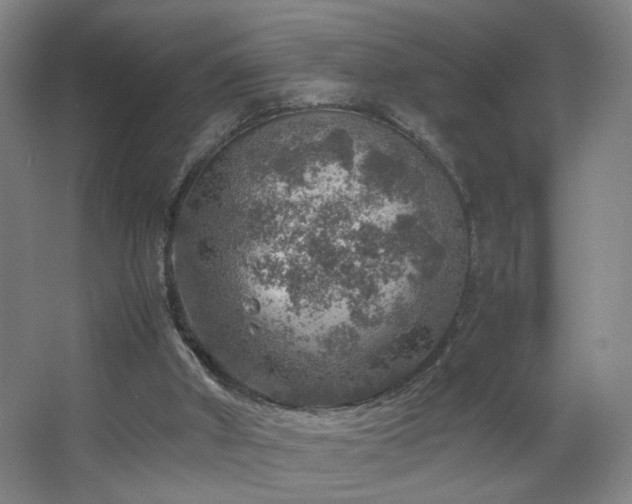 X0000067460010200604071140