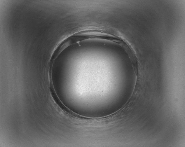 X0000067460011200604071140