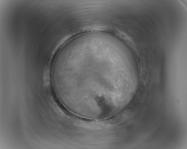 X0000067460012200604071140