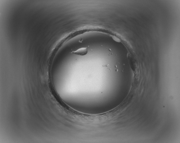 X0000067460015200604071140