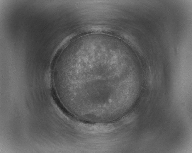 X0000067460016200604071140