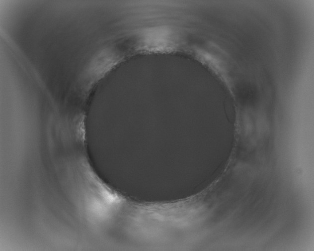 X0000067460017200604071140