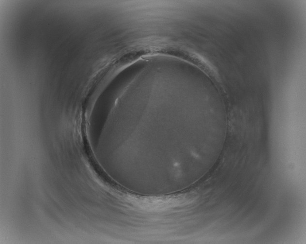 X0000067460018200604071140