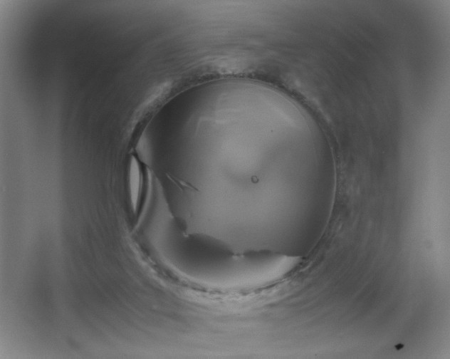 X0000067460019200604071140