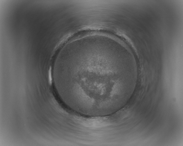 X0000067460020200604071140