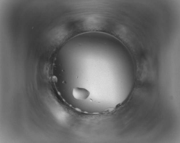 X0000067460021200604071140