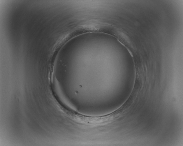 X0000067460023200604071140