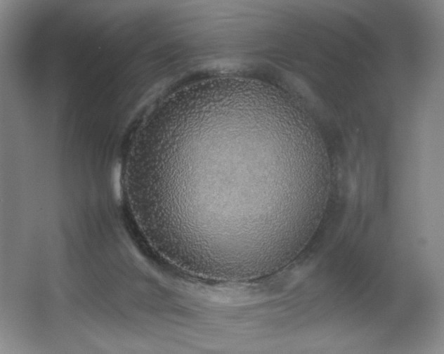 X0000067460024200604071140