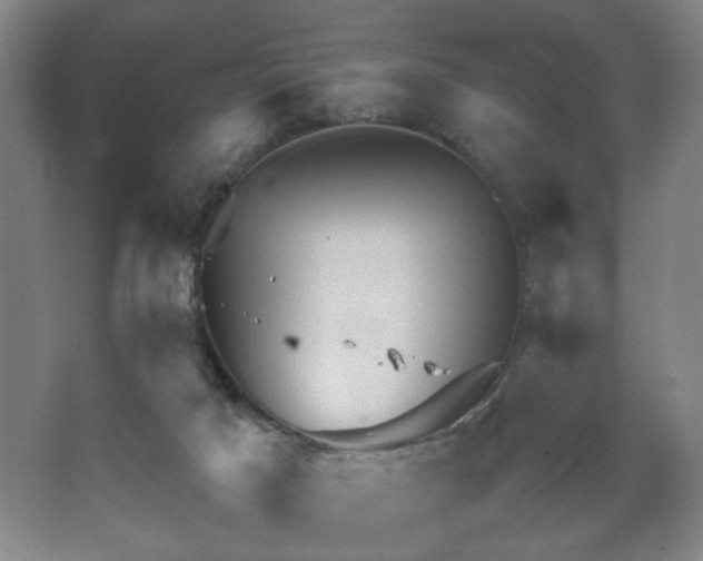 X0000067460025200604071140