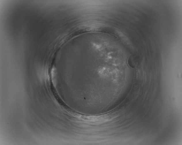 X0000067460026200604071140