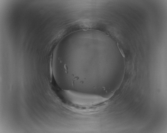 X0000067460027200604071140