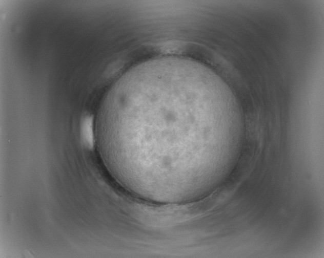 X0000067460028200604071140