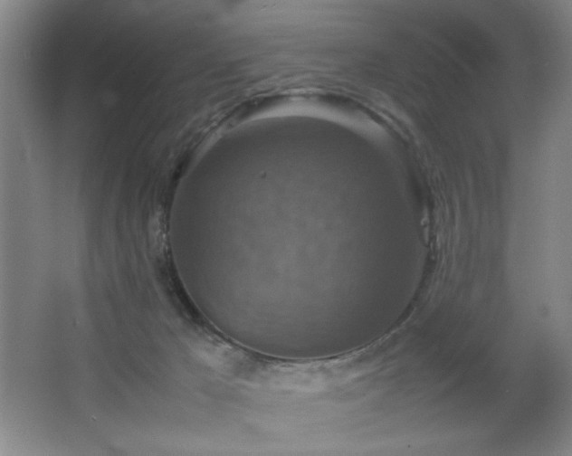 X0000067460029200604071140