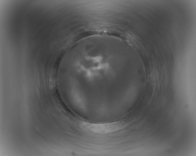 X0000067460030200604071140