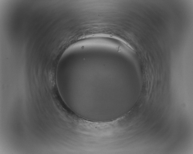 X0000067460031200604071140