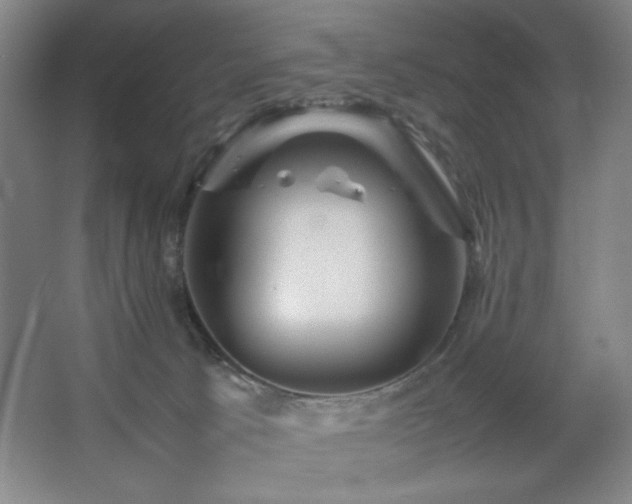 X0000067460033200604071140