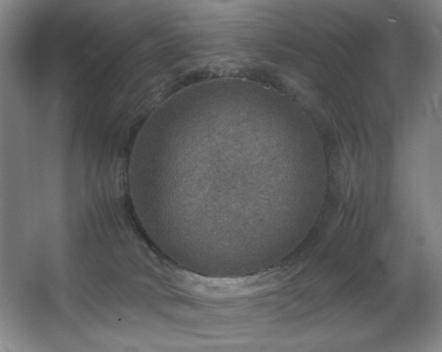 X0000067460034200604071140