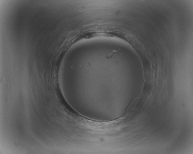 X0000067460035200604071140