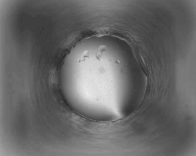 X0000067460037200604071140