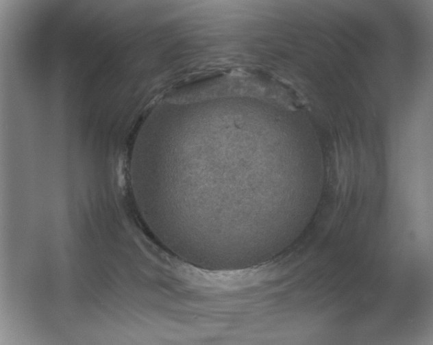 X0000067460038200604071140