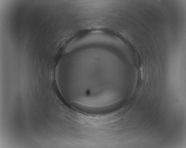 X0000067460039200604071139