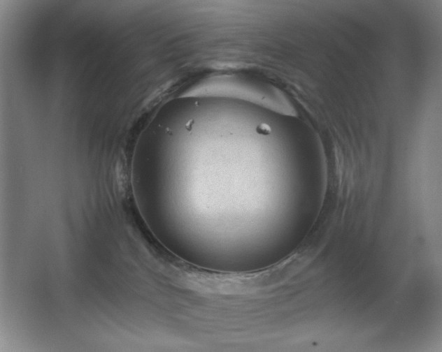 X0000067460040200604071139