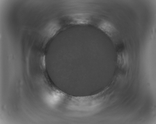 X0000067460041200604071139