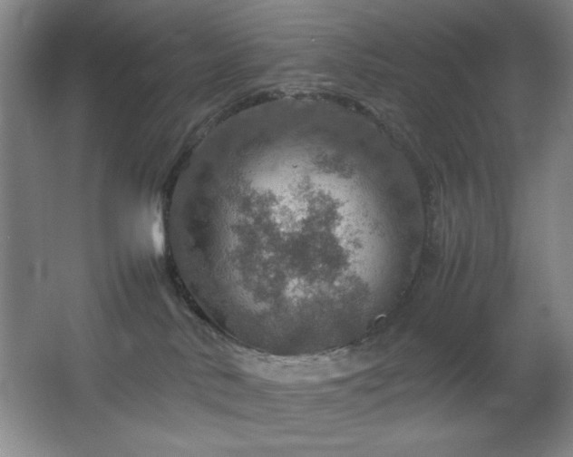 X0000067460042200604071139