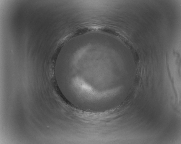 X0000067460043200604071139