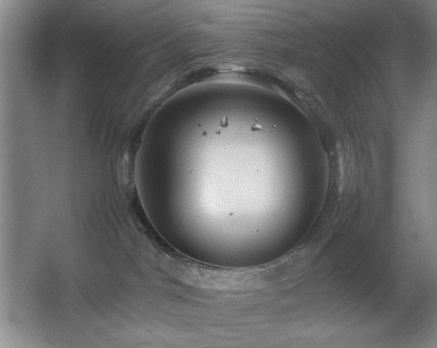 X0000067460044200604071139